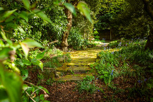REAR GARDEN- click for photo gallery